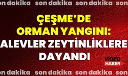 Çeşme’de Orman Yangını: Alevler Zeytinliklere Dayandı