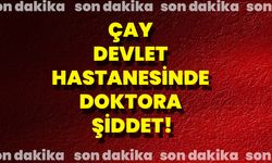 Çay Devlet Hastanesinde Doktora Şiddet!