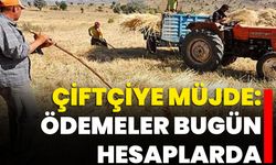 Çiftçiye Müjde: Ödemeler Bugün Hesaplarda