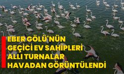 Eber Gölü'nün geçici ev sahipleri allı turnalar havadan görüntülendi