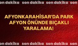 Afyonkarahisar'da Park Afyon Önünde Bıçaklı Yaralama!