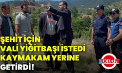 Şehit için Vali Yiğitbaşı istedi, Kaymakam yerine getirdi!