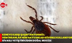 Keneye Karşı Şaşırtan Formül: Hem İnsanlar Hem Hayvanlar Güvenle Kullanıyor! Sivaslı Yetiştiriciden Doğal Mucize