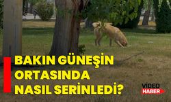 Bakın güneşin ortasında nasıl serinledi?
