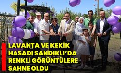 Lavanta Ve Kekik Hasadı Sandıklı’da Renkli Görüntülere Sahne Oldu