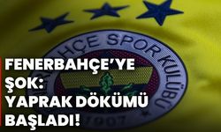 Fenerbahçe’ye şok: Yaprak dökümü başladı!