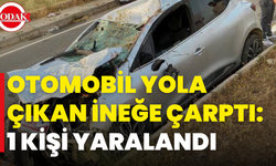 Otomobil Yola Çıkan İneğe Çarptı: 1 Kişi Yaralandı