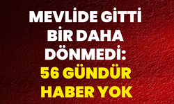 Mevlide Gitti Bir Daha Dönmedi: 56 Gündür Haber Yok