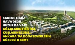 Sadece Temiz Hava Değil, Huzur da Var! Ağaçların Fısıltısı, Kuşların Ezgisi… Ankara’da Doğaseverlerin Gözdesi O Semt