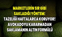 Marketlerin sır gibi sakladığı yöntem: Tazeliği haftalarca koruyor! Avokadoyu kararmadan saklamanın altın formülü