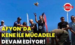 Afyon’da kene ile mücadele devam ediyor!