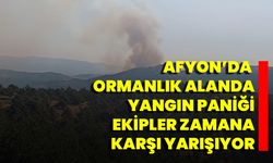 Afyon’da Ormanlık Alanda Yangın Paniği Ekipler Zamana Karşı Yarışıyor