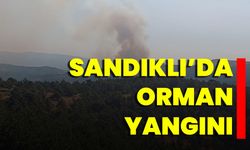 Sandıklı'da Orman Yangını