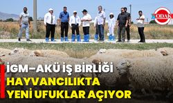 İGM–AKÜ İş Birliği Hayvancılıkta Yeni Ufuklar Açıyor