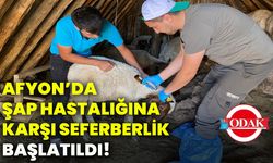 Afyonkarahisar’da şap hastalığına seferberlik başlatıldı!