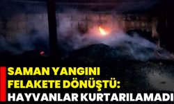 Saman Yangını Felakete Dönüştü: Hayvanlar Kurtarılamadı