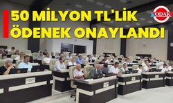 Cumhurbaşkanlığı’ndan 50 milyonluk araç takviyesi  50 milyon TL'lik ödenek onaylandı
