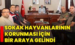 Sokak hayvanlarının korunması için bir araya gelindi