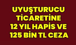 Uyuşturucu ticaretine 12 yıl hapis ve 125 bin TL ceza