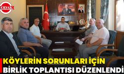 Köylerin Sorunları İçin Birlik Toplantısı Düzenlendi