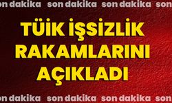TÜİK İşsizlik Rakamlarını Açıkladı!