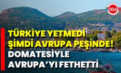 Türkiye Yetmedi, Şimdi Avrupa Peşinde! Domatesiyle Avrupa’yı Fethetti