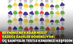 Beyniniz Ne Kadar Hızlı? Sadece Dahiler Görebiliyor: Üç Saniyelik Testle Kendinizi Keşfedin!