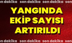 Yangınında Ekip Sayısı Artırıldı