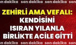 Zehirli Ama Vefalı: Isıran Yılanla Birlikte Acile Gitti