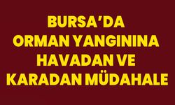 Bursa’da orman yangınına havadan ve karadan müdahale
