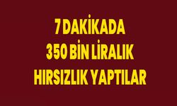 7 Dakikada 350 Bin Liralık Hırsızlık Yaptılar: O Anlar Kamerada