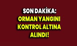 Orman Yangını Kontrol Altına Alındı!