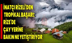 İnatçı Rizeli'den Tropikal Başarı: Rize'de Çay Yerine bakın ne yetiştiriyor