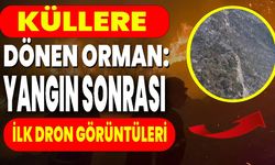 Küllere Dönen Orman: Yangın Sonrası İlk Dron Görüntüleri