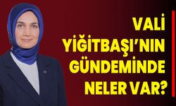 Vali Yiğitbaşı’nın Gündeminde Neler Var?