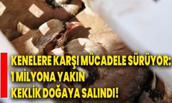 Kenelere karşı mücadele sürüyor: 1 milyona yakın keklik doğaya salındı