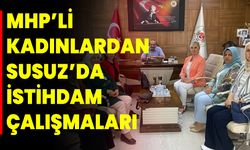 MHP’li Kadınlardan Susuz’da İstihdam Çalışmaları