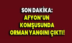 Afyon’un Komşusunda Orman Yangını Çıktı!