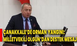 Çanakkale’de Orman Yangını: Milletvekili Olgun’dan Destek Mesajı