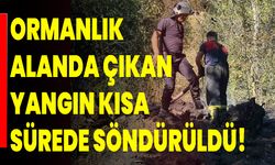 ORMANLIK ALANDA ÇIKAN YANGIN KISA SÜREDE SÖNDÜRÜLDÜ!
