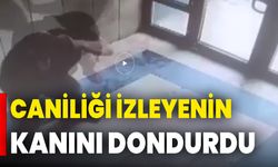 Caniliği İzleyenin Kanını Dondurdu