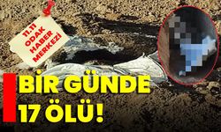 Bir günde 17 ölü!