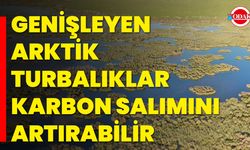 Genişleyen Arktik Turbalıklar Karbon Salımını Artırabilir