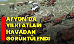 Afyon’da Yılkı Atları Havadan Görüntülendi