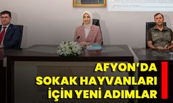 Afyon’da Sokak Hayvanları İçin Yeni Adımlar