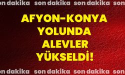 Afyon-Konya yolunda alevler yükseldi!