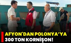 Afyon'dan Polonya’ya 300 Ton Kornişon!