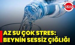 Az Su Çok Stres: Beynin Sessiz Çığlığı