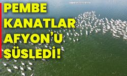 Pembe kanatlar Afyon’u süsledi!