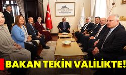 Bakan Tekin Valilikte!